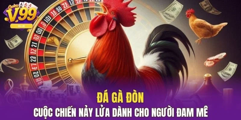đá gà đòn