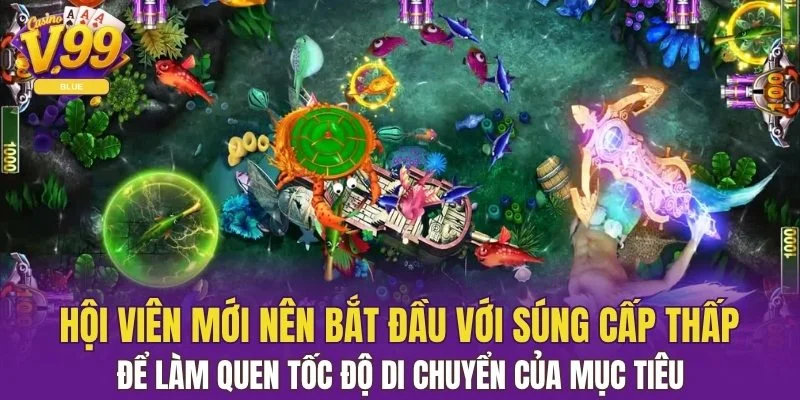 Hội viên mới nên bắt đầu với súng cấp thấp