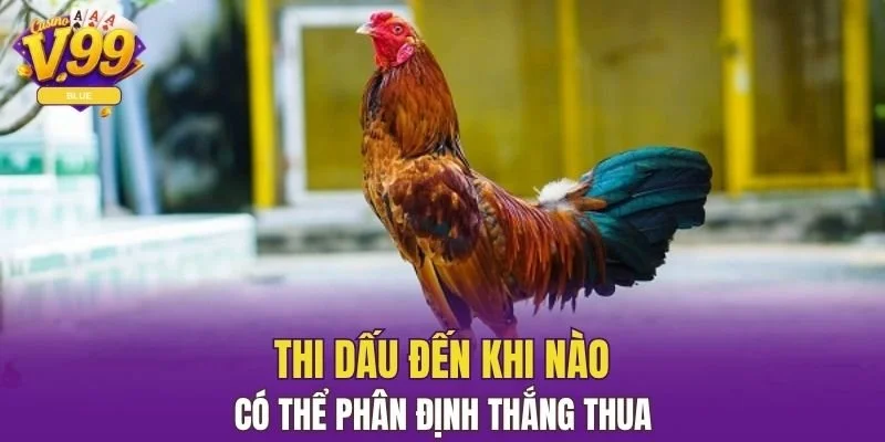 Thi dấu đến khi nào có thể phân định thắng thua