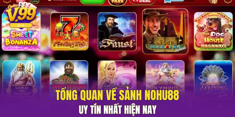 Tổng quan về sảnh nohu88 uy tín nhất hiện nay 